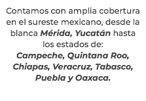 Contamos con amplia cobertura en el sureste mexicano, desde la blanca Mérida, Yucatán hasta los estados de: Campeche, Quintana Roo, Chiapas, Veracruz, Tabasco, Puebla y Oaxaca.