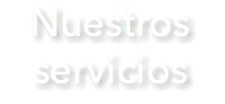 Nuestros servicios